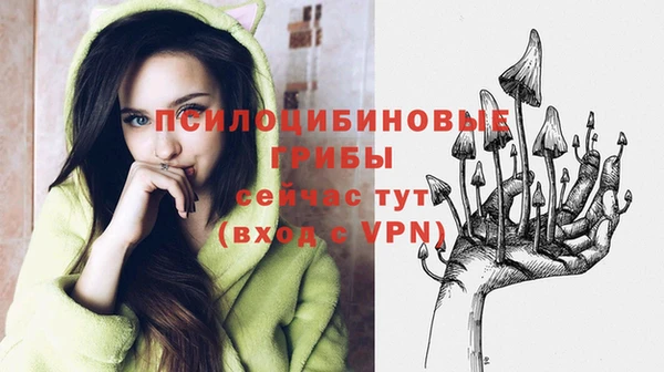 MESCALINE Верхний Тагил