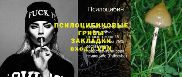 крисы Верея