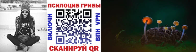 купить наркоту Кашира Псилоцибиновые грибы Psilocybine cubensis